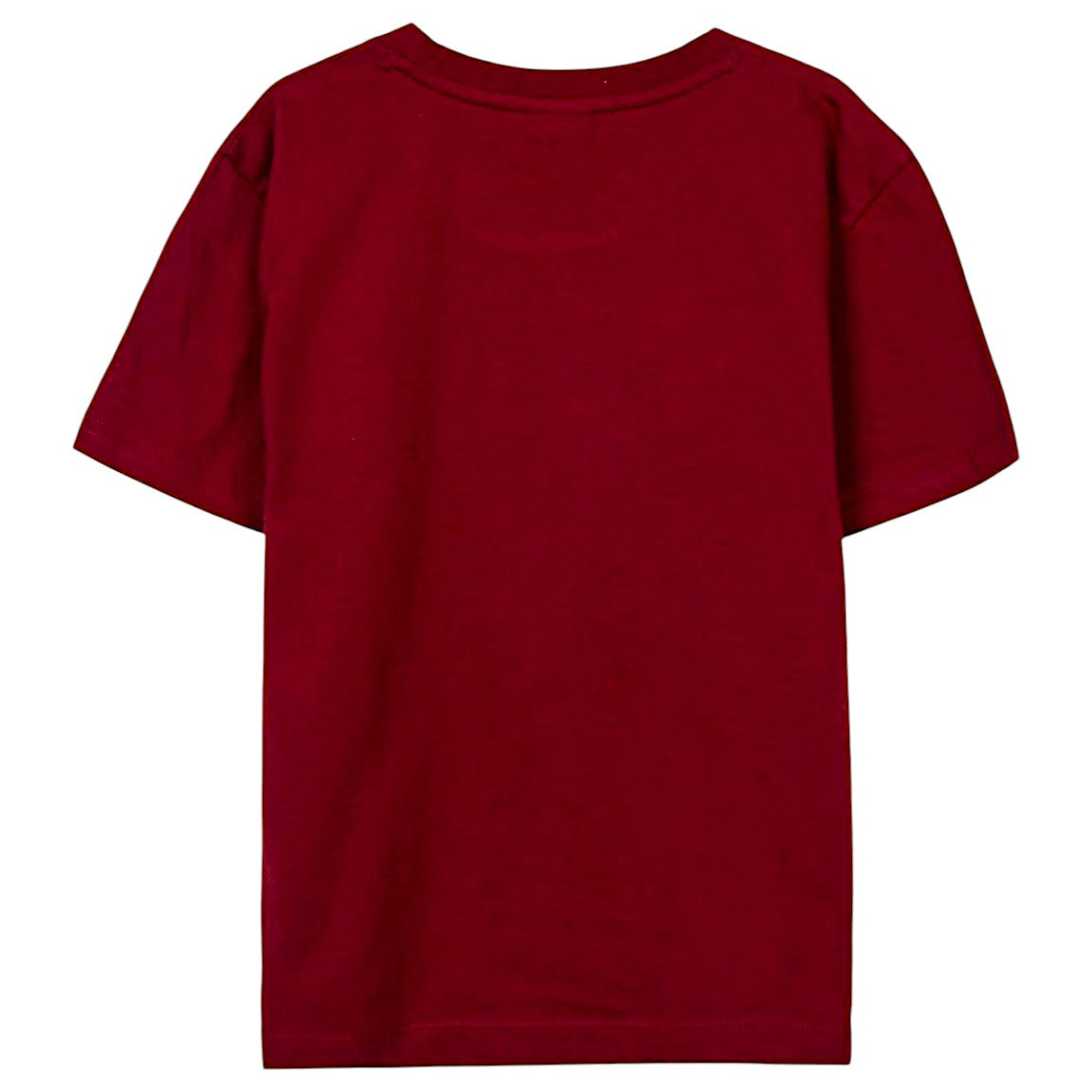 Harry Potter T-Shirt für Kinder Gr.116 -164 cm
