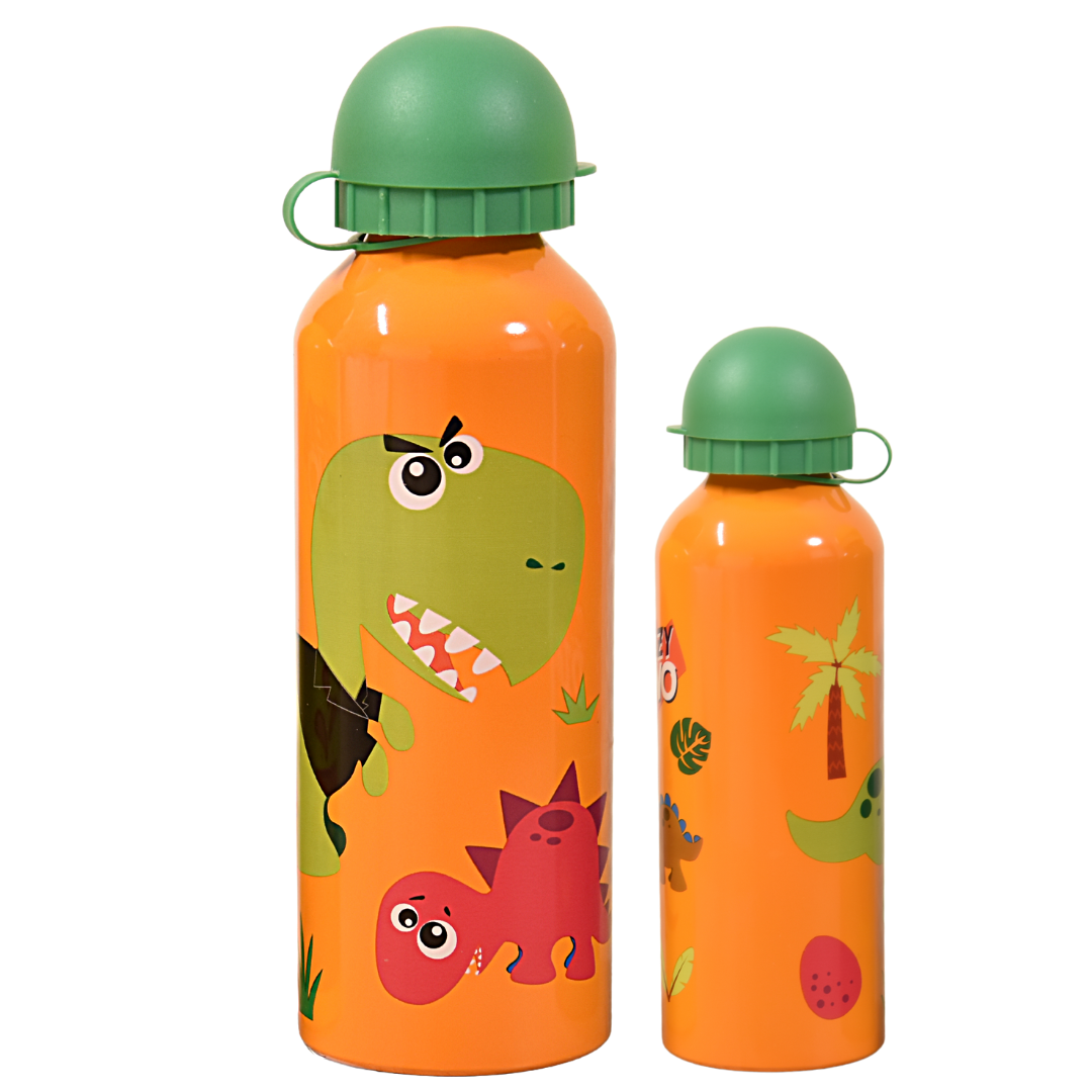 Crazy Dino Alu-Trinkflasche 500 ml