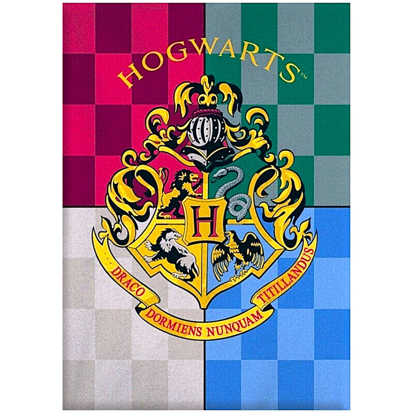 Harry Potter Fleecedecke für Kinder 140 x 100 cm