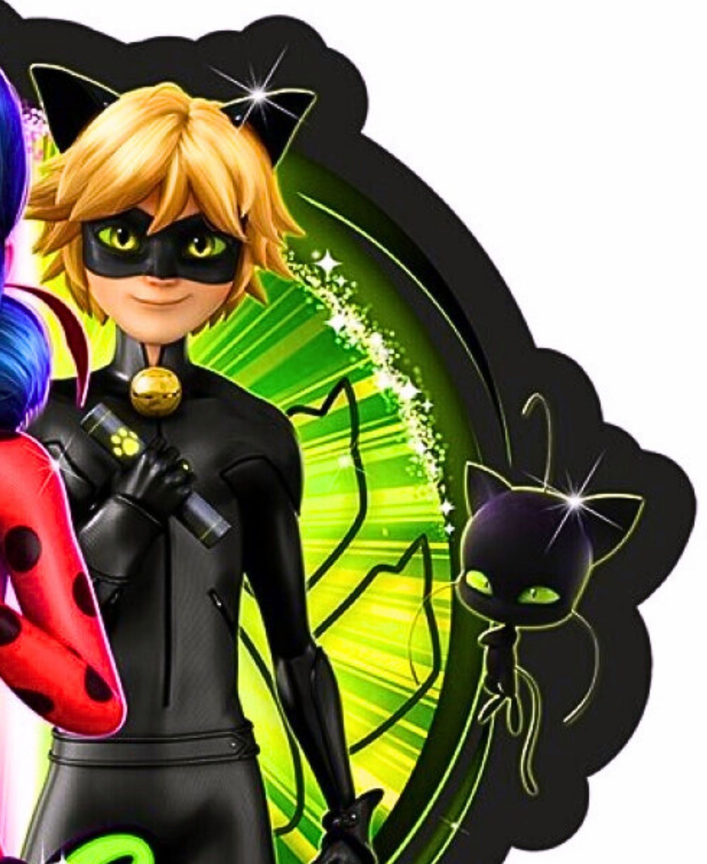 Miraculous Dekokissen 34 x 31 cm