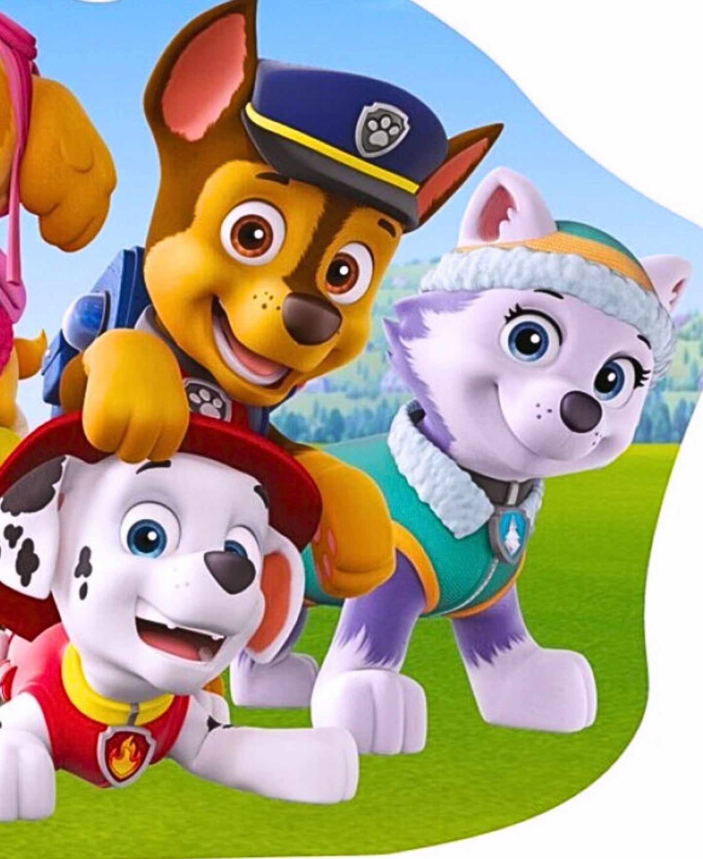 Paw Patrol Dekokissen