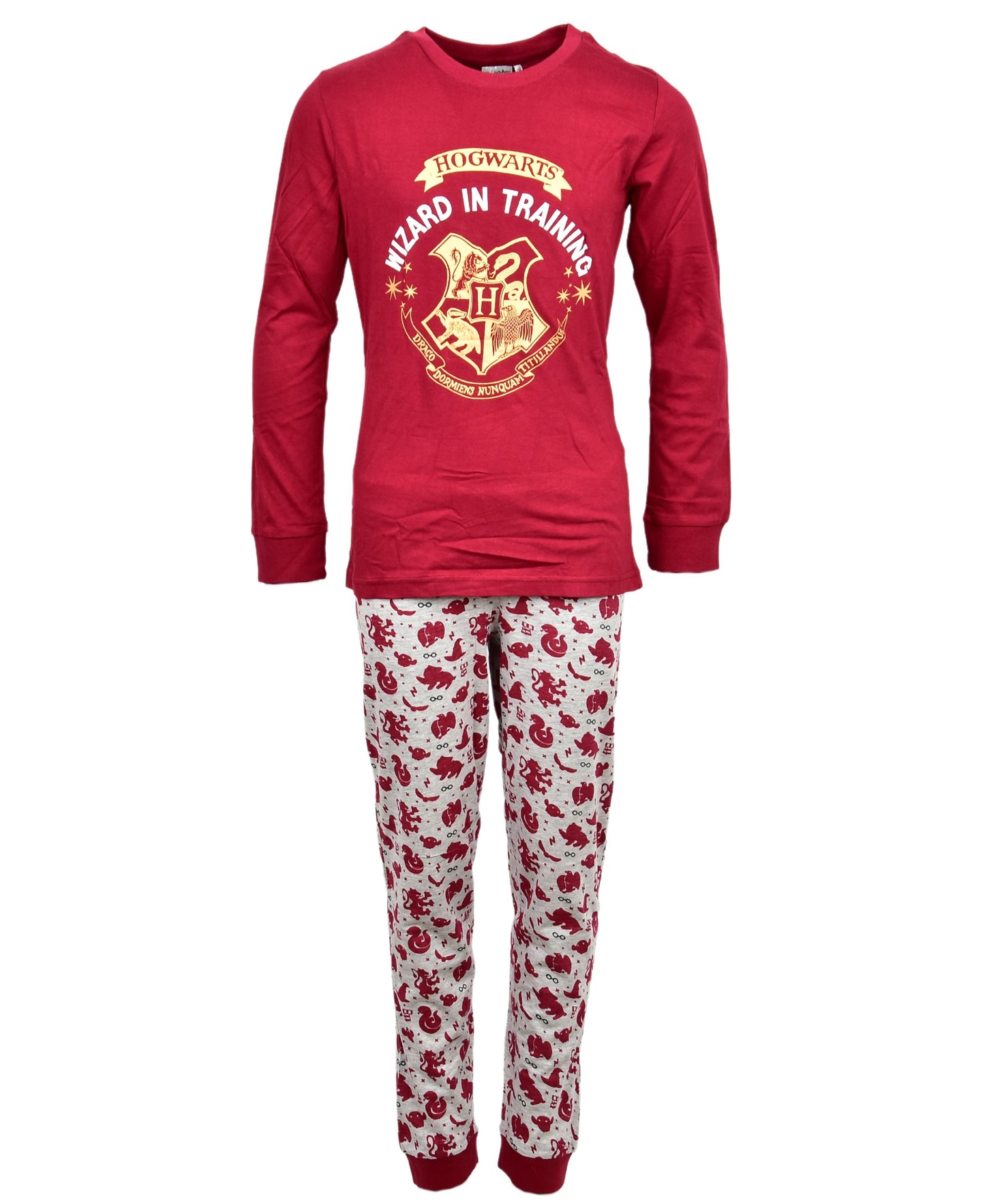 Schlafanzug Harry Potter für Jungen