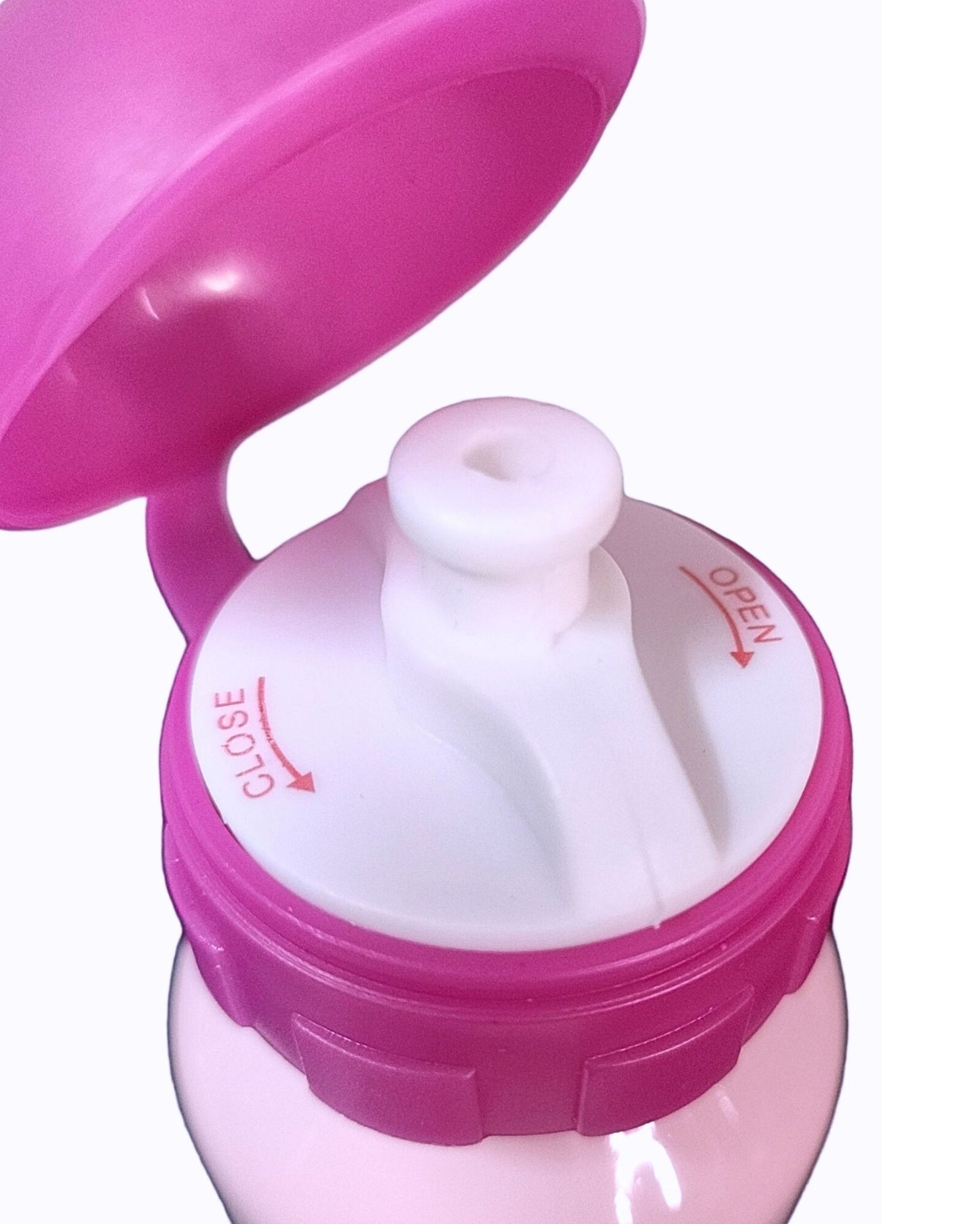 Disney Princess Alu-Trinkflasche 520 ml