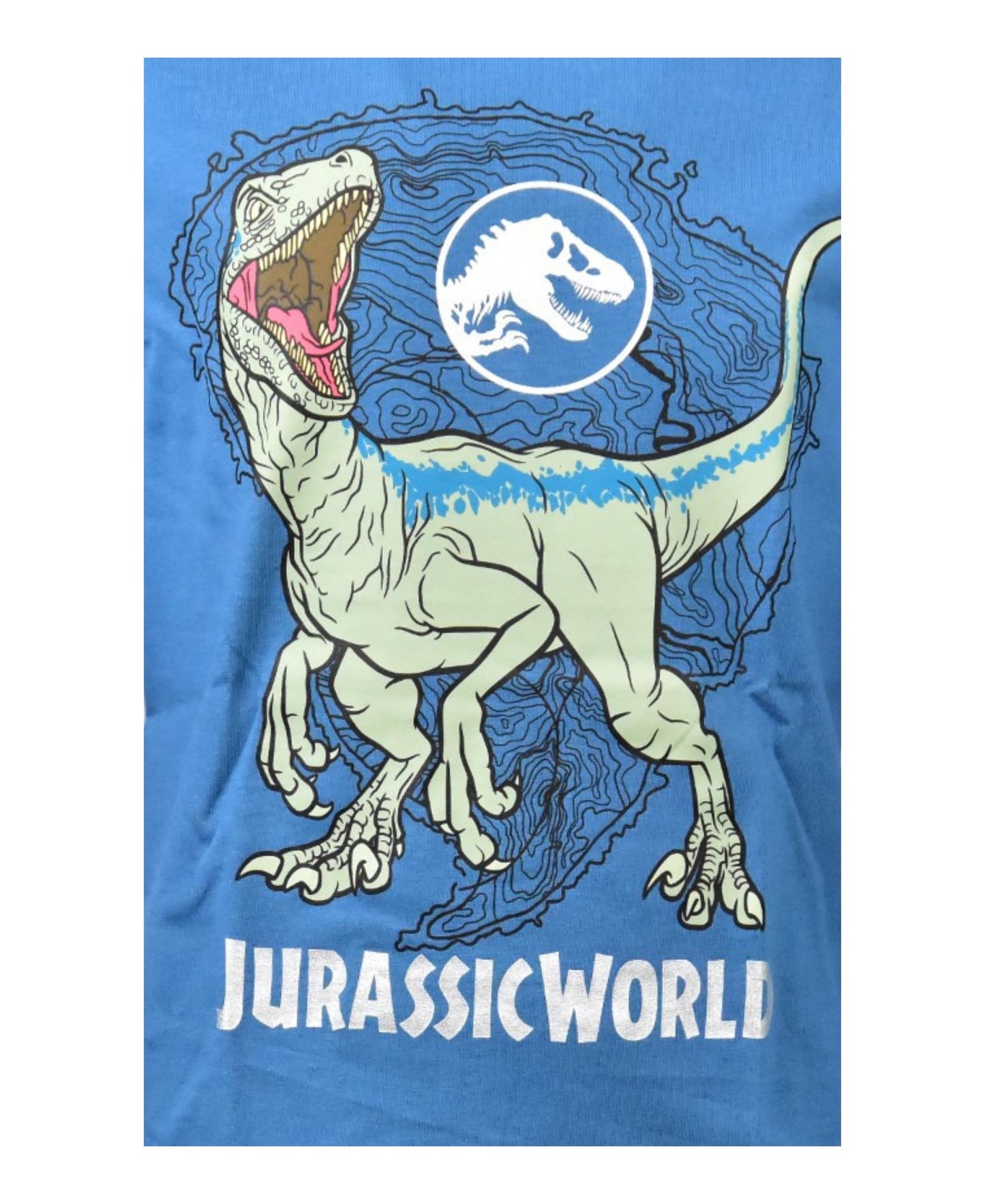 Langarmshirt Jurassic World für Jungen
