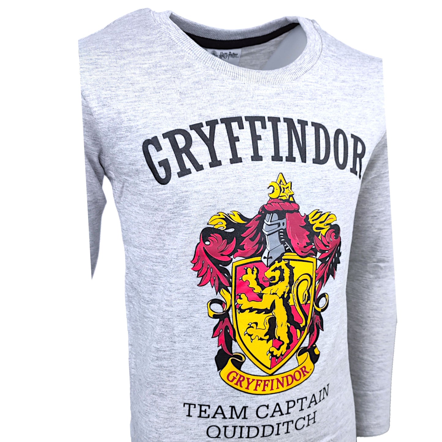 Harry Potter Langarmshirt für Jungen Gr. 134 - 164 cm