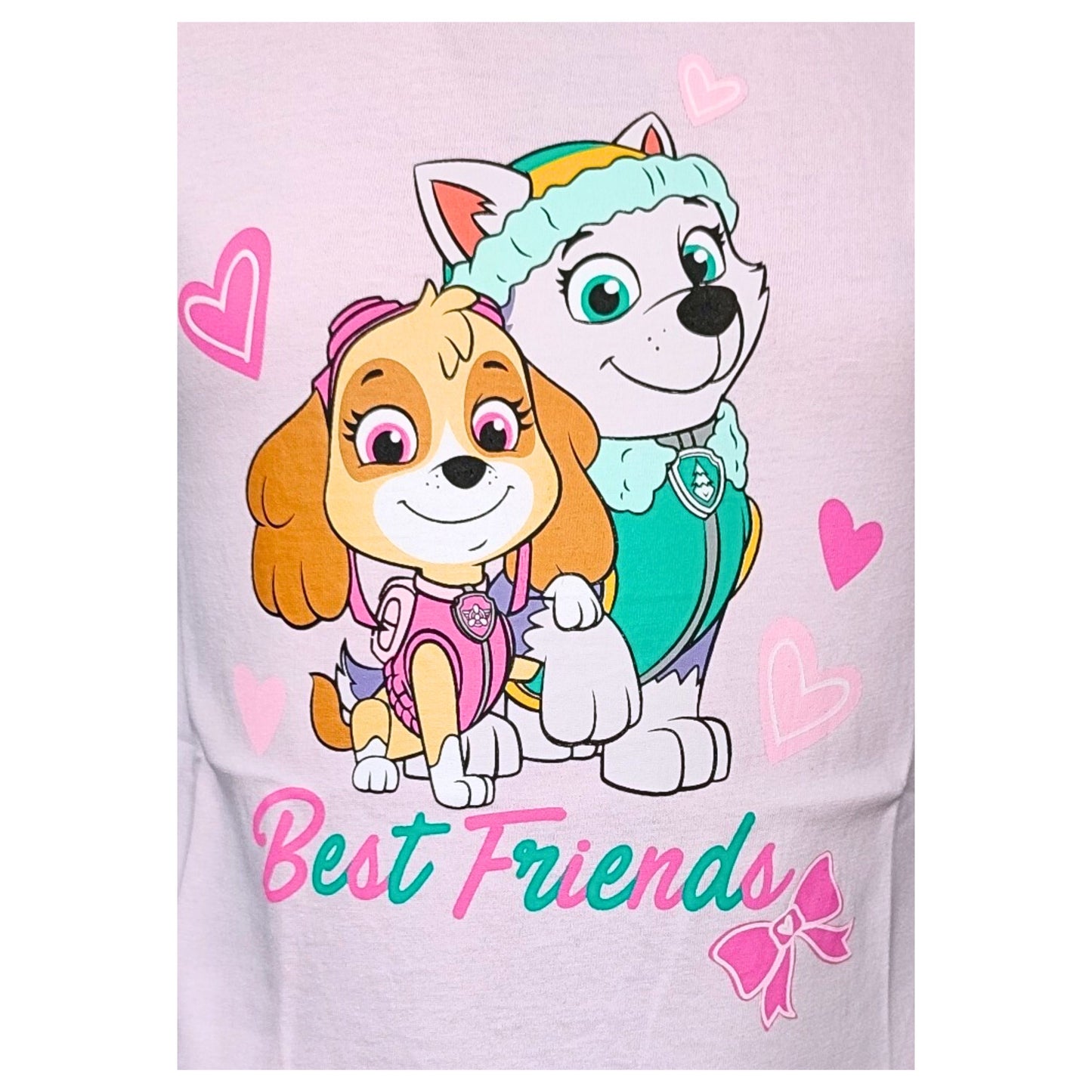 Paw Patrol T-Shirt Skye & Everest