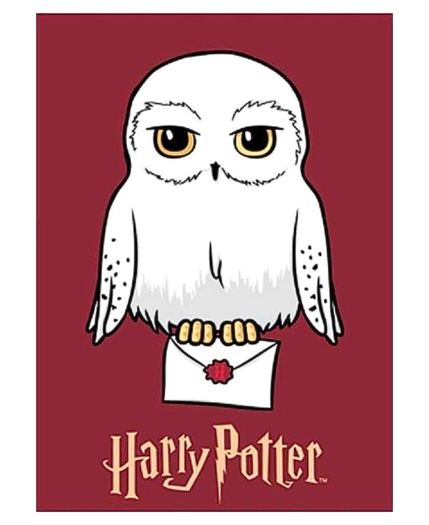 Harry Potter Fleecedecke für Kinder 140 x 100 cm