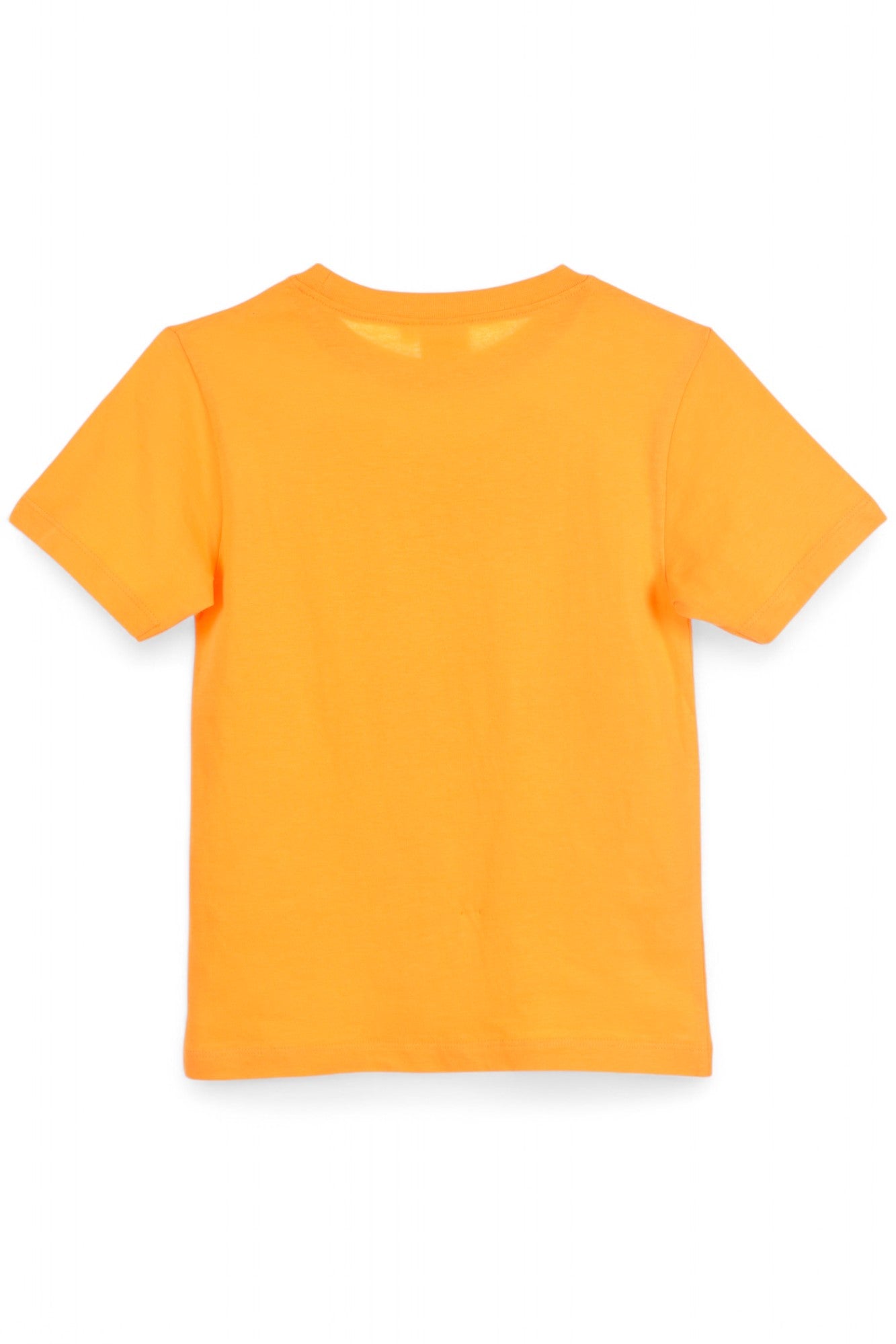 Disney König der Löwen T-Shirt für Jungen Gr. 98 - 116 cm