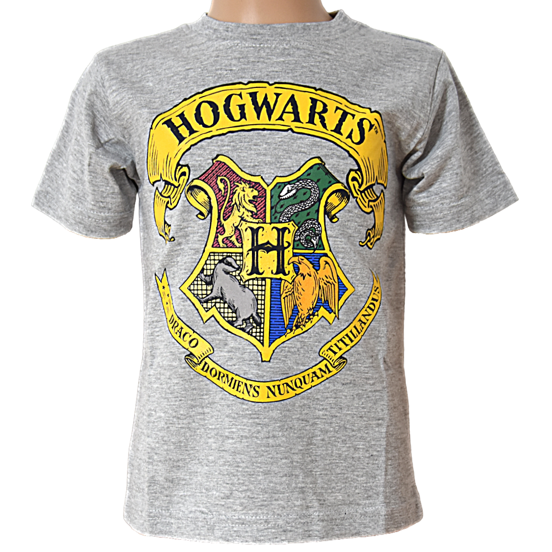 Harry Potter T-Shirt für Jungen