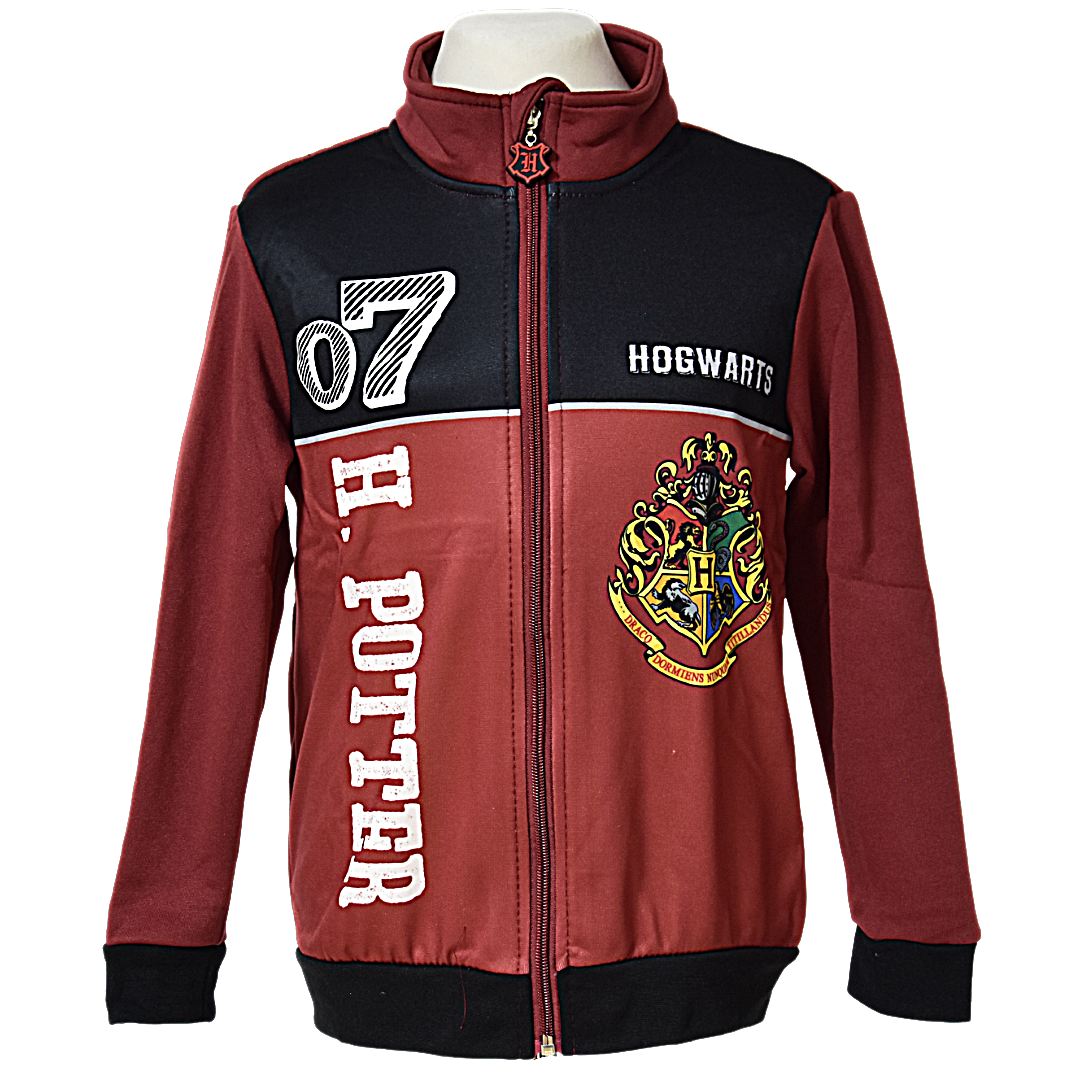 Harry Potter Sportanzug für Jungen