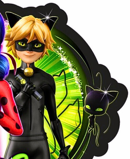 Miraculous Dekokissen 34 x 31 cm