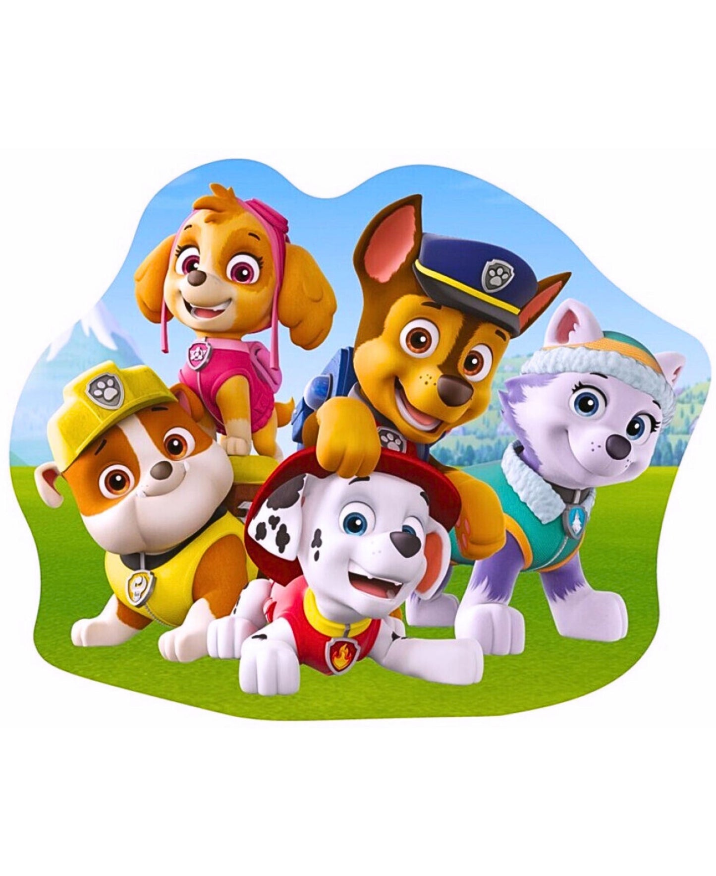 Paw Patrol Dekokissen