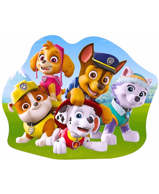 Paw Patrol Dekokissen