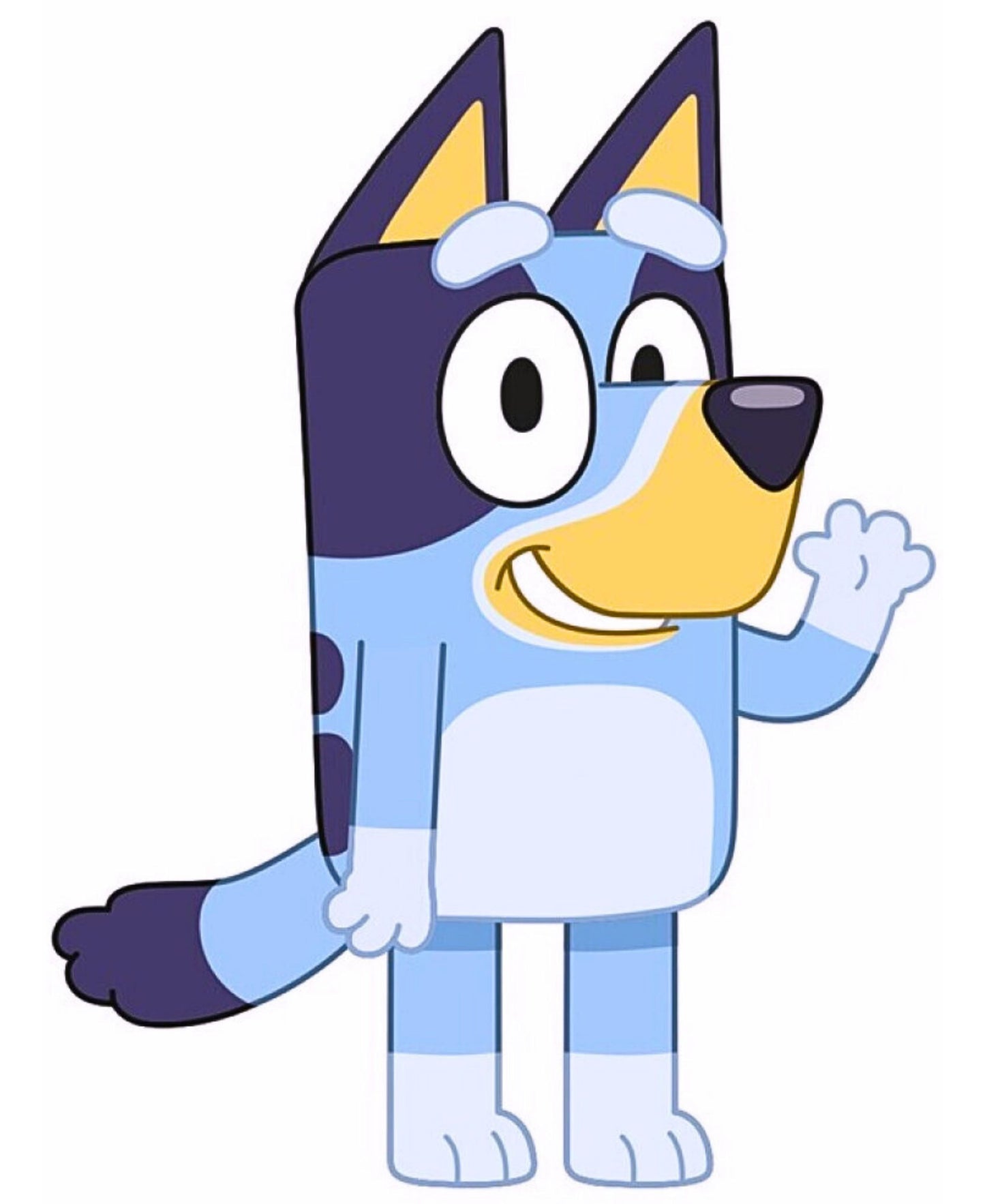 Bluey Dekokissen 32 x 25 cm