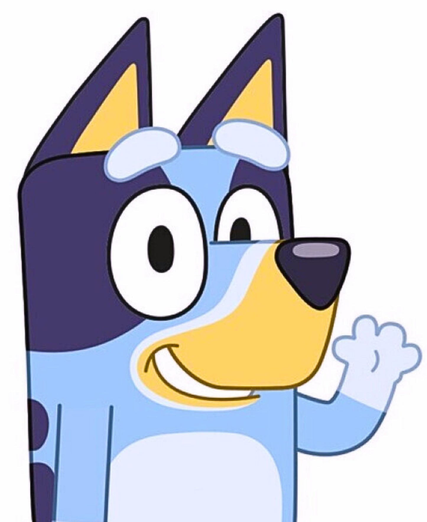 Bluey Dekokissen 32 x 25 cm