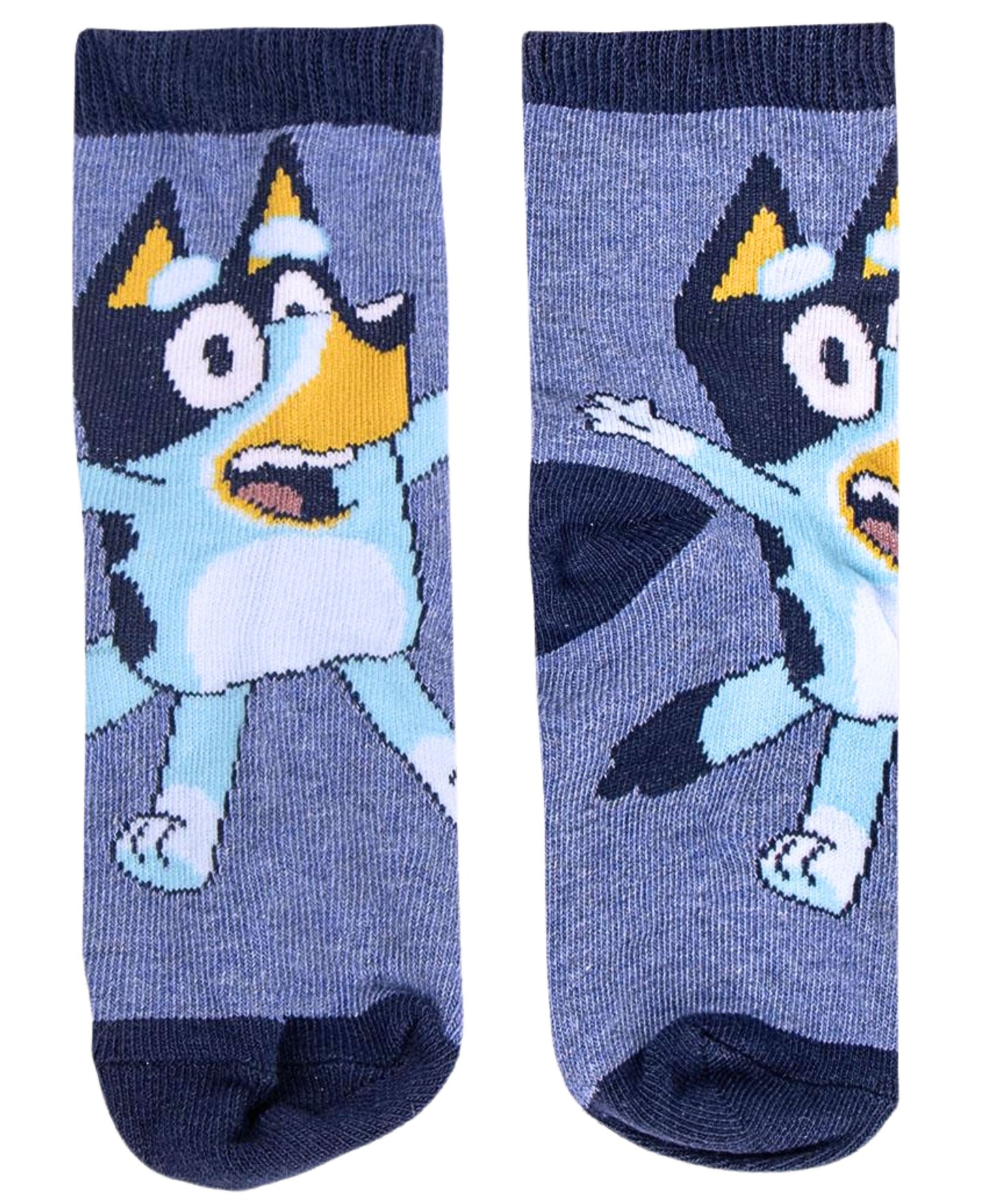 Bluey 4er - Pack Socken in Spardose Gr. 23-30