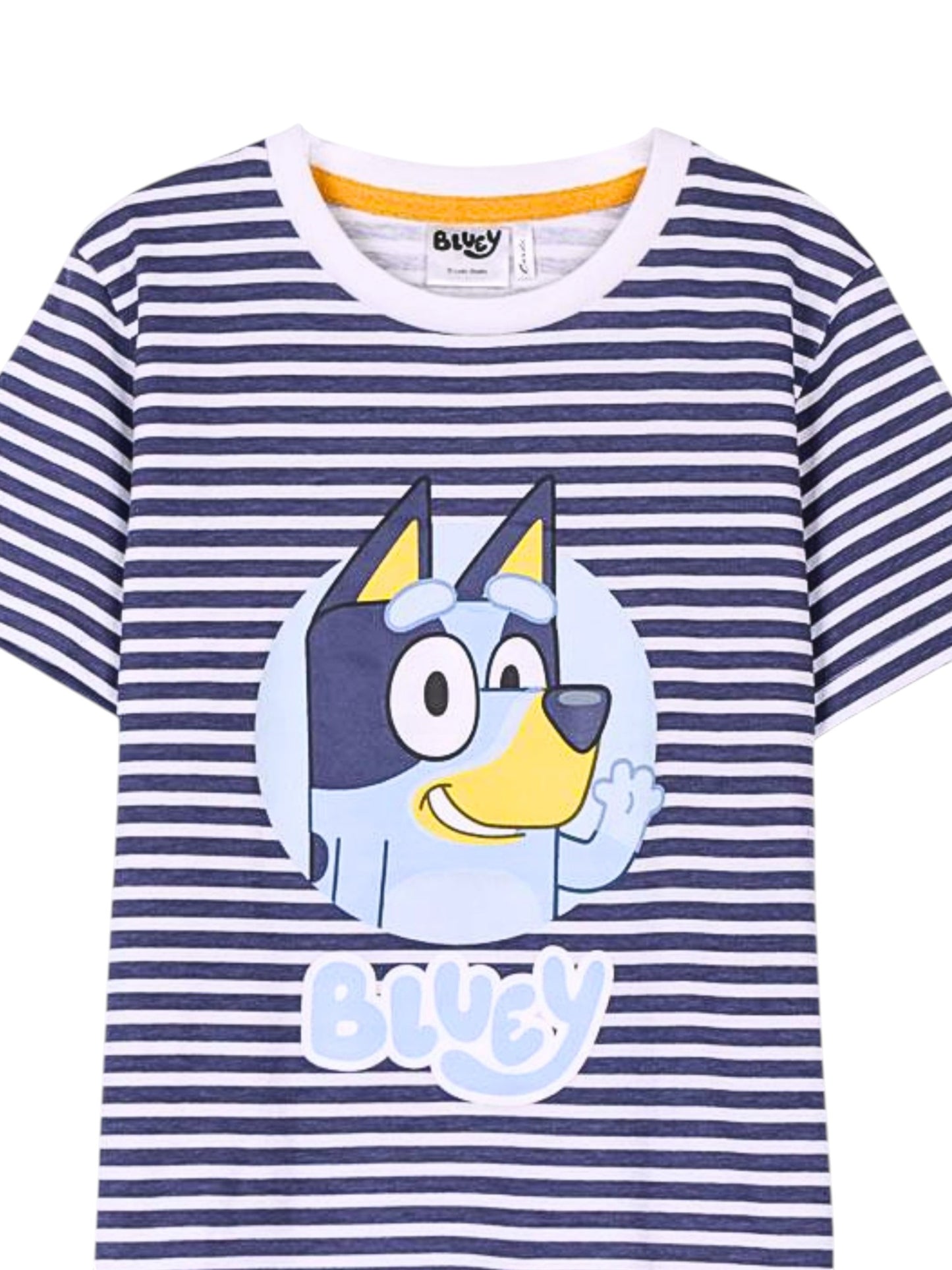 Bluey Set T-Shirt & Shorts