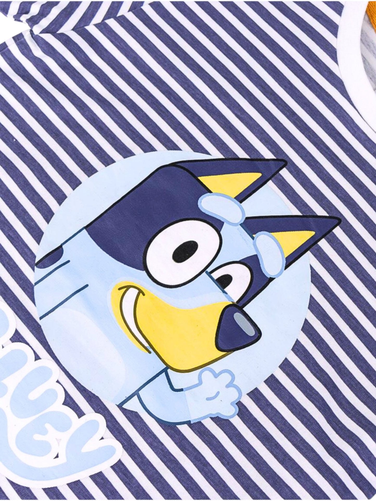 Bluey Set T-Shirt & Shorts