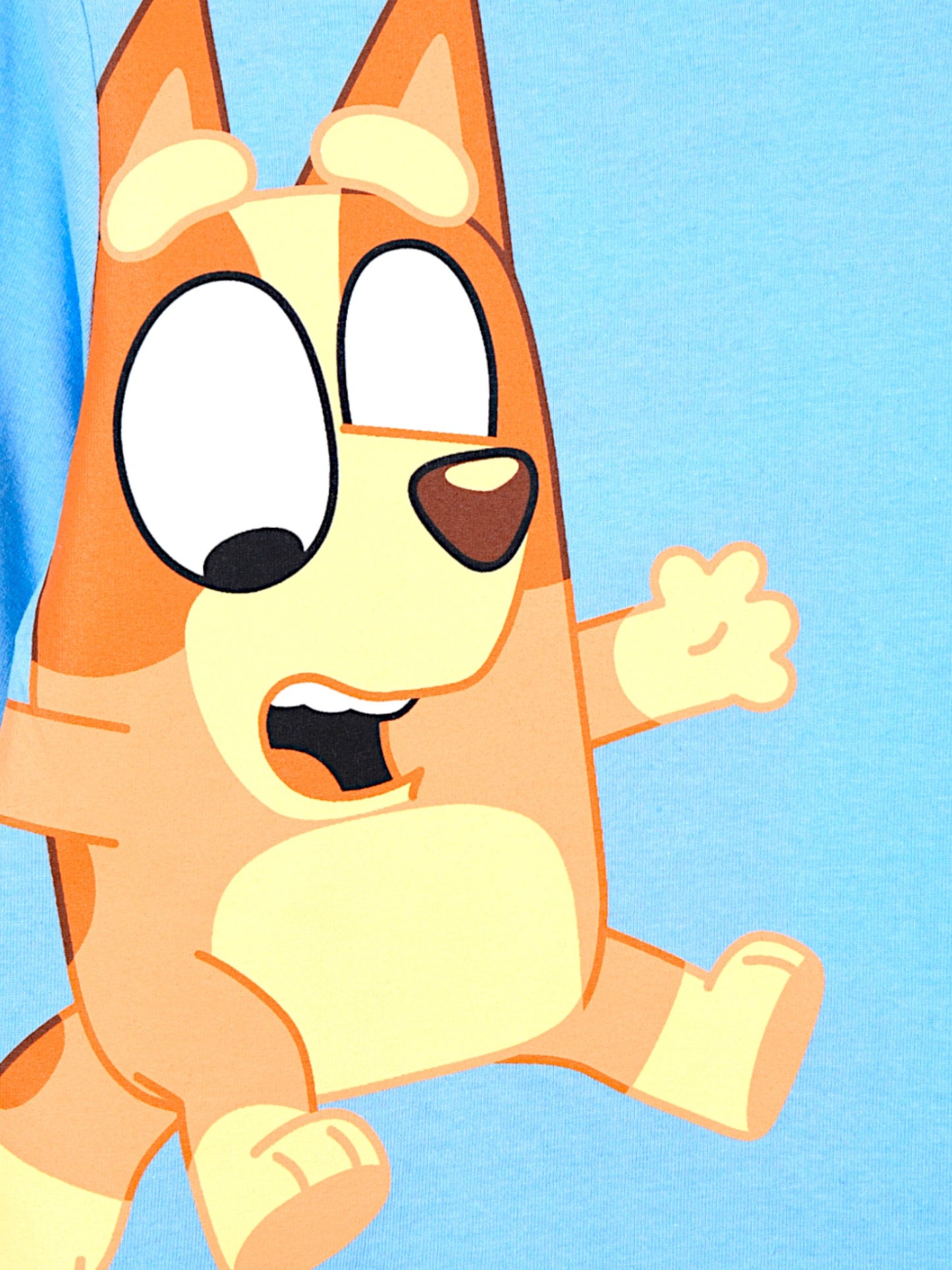 Bluey & Bingo Langarmshirt