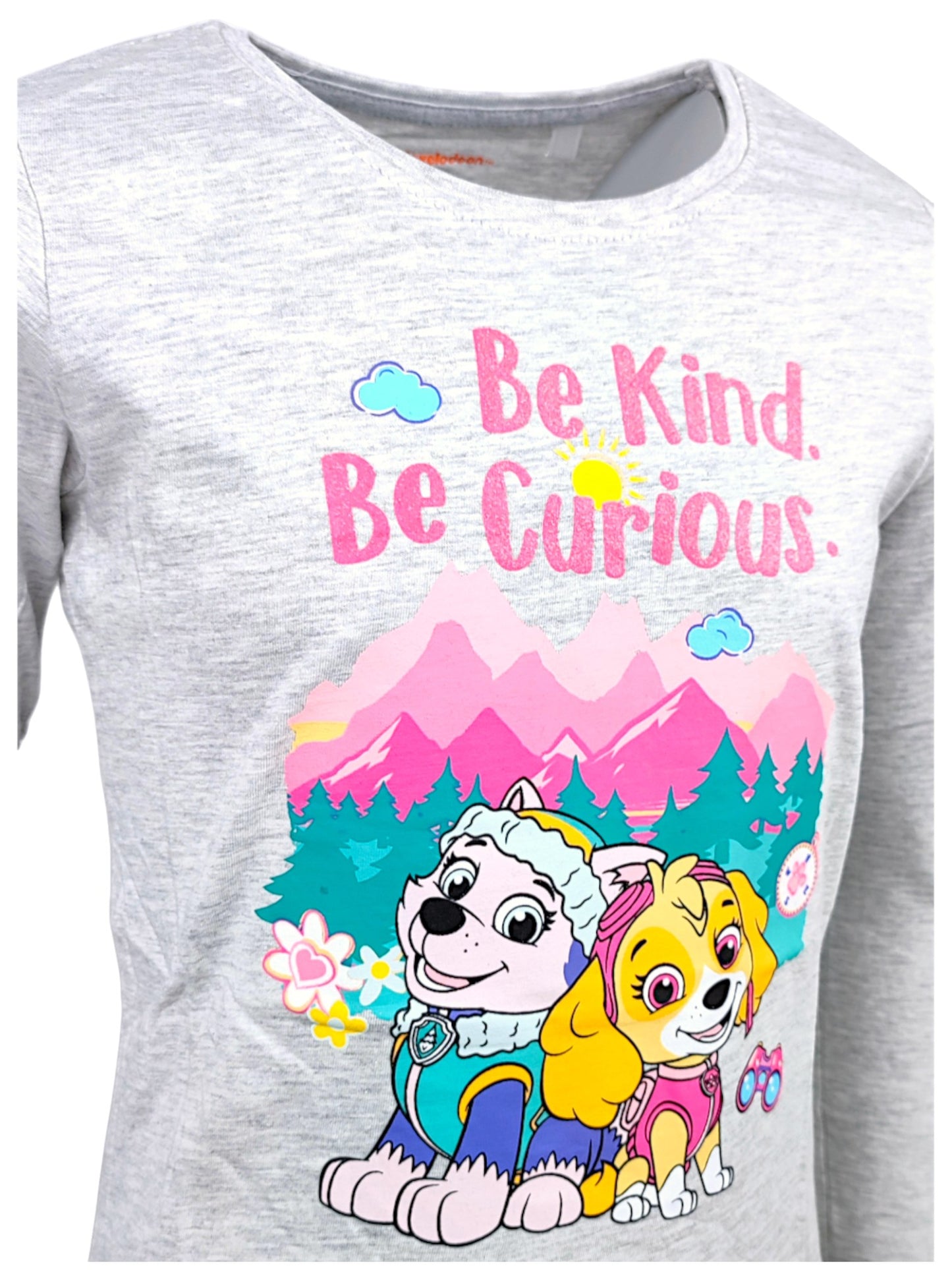 Paw Patrol Langarmshirt  Skye & Everest Gr. 98-128 cm