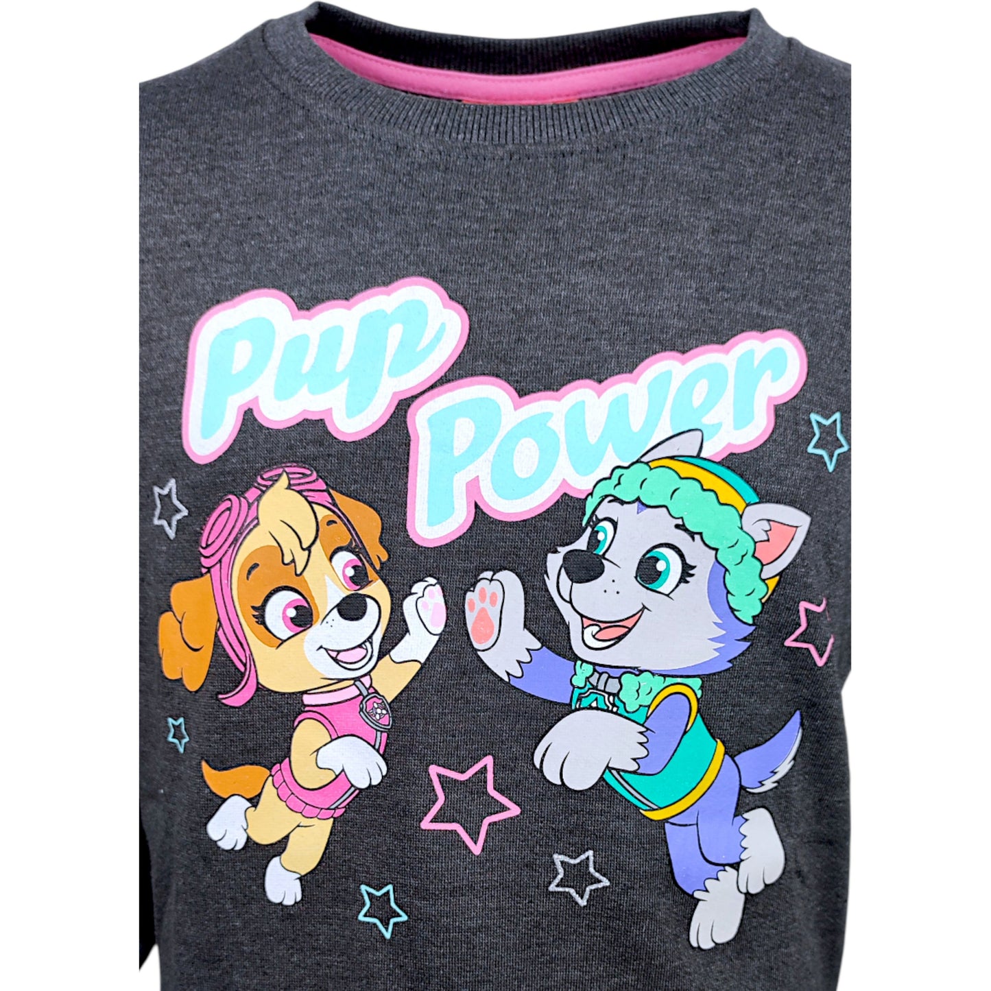 Paw Patrol Sweatshirt Skye für Mädchen Gr. 98 - 128 cm