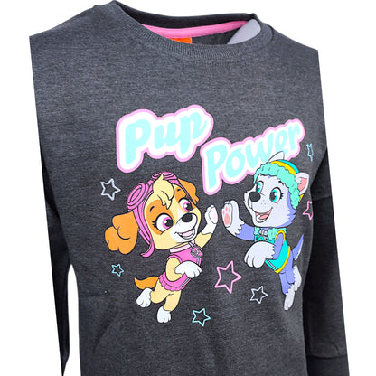 Paw Patrol Sweatshirt Skye für Mädchen Gr. 98 - 128 cm