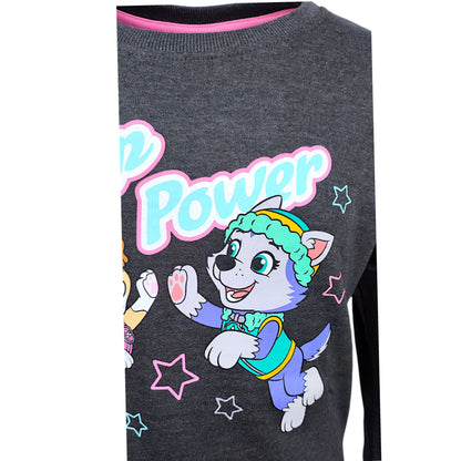 Paw Patrol Sweatshirt Skye für Mädchen Gr. 98 - 128 cm