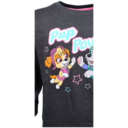 Paw Patrol Sweatshirt Skye für Mädchen Gr. 98 - 128 cm