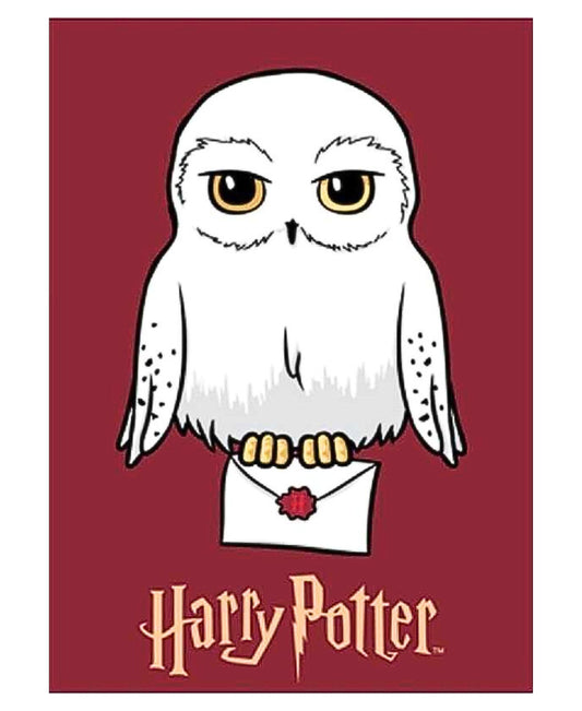 Harry Potter Fleecedecke für Kinder 140 x 100 cm