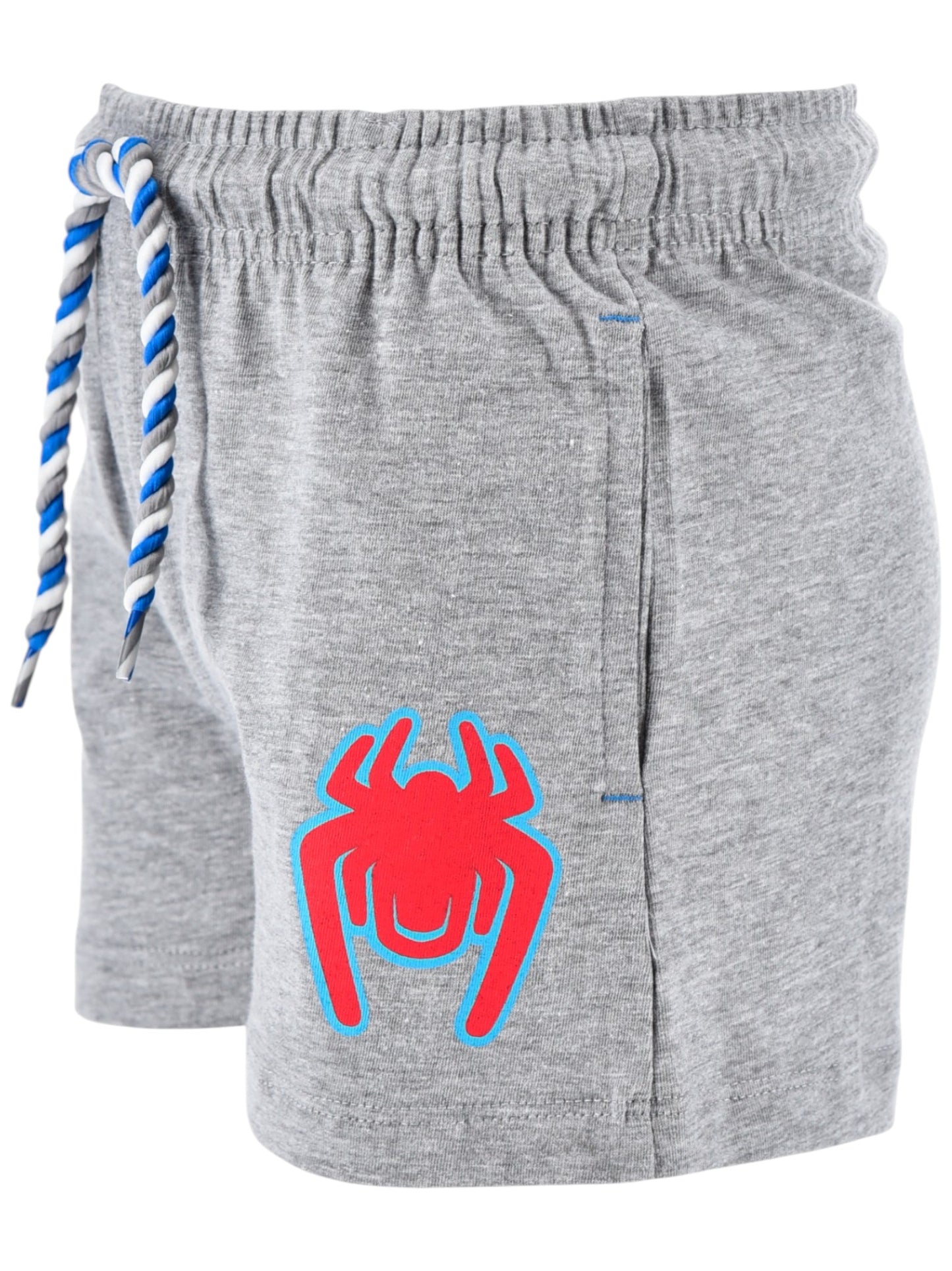 Spidey Set T-Shirt & Shorts