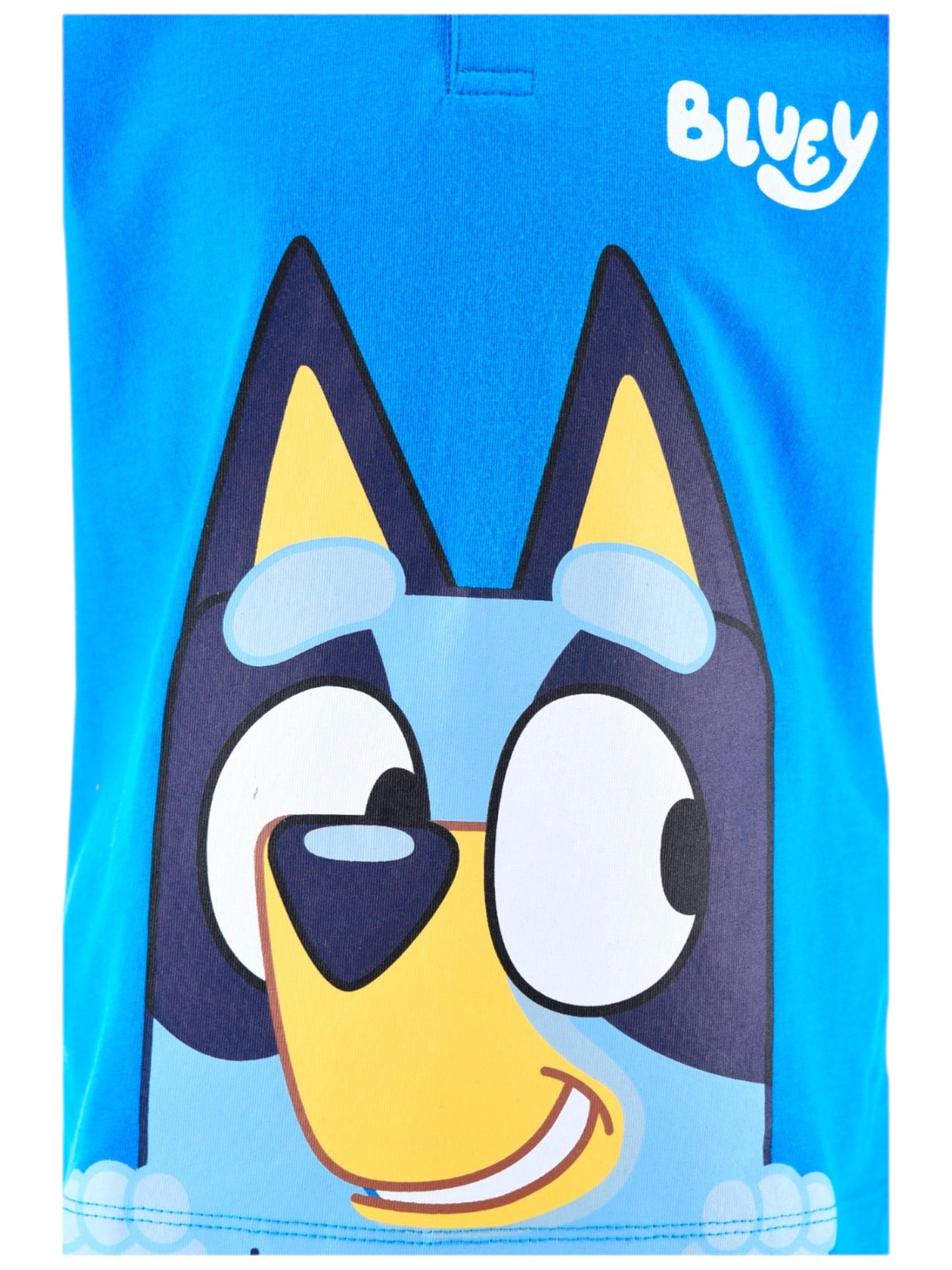 Bluey Schlafanzug kurz