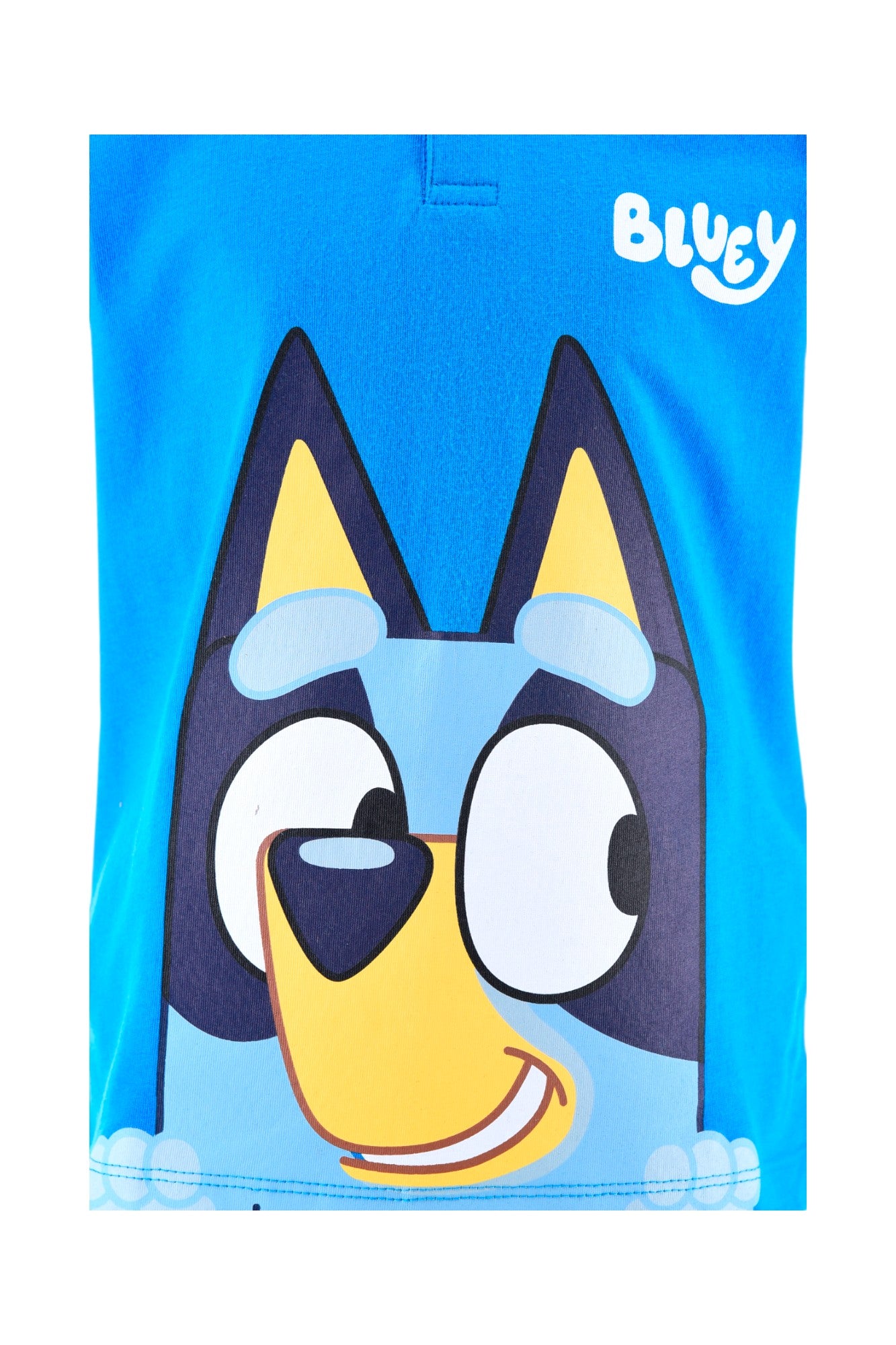 Bluey Schlafanzug kurz  - Shorty für Jungen Gr. 98 - 116 cm