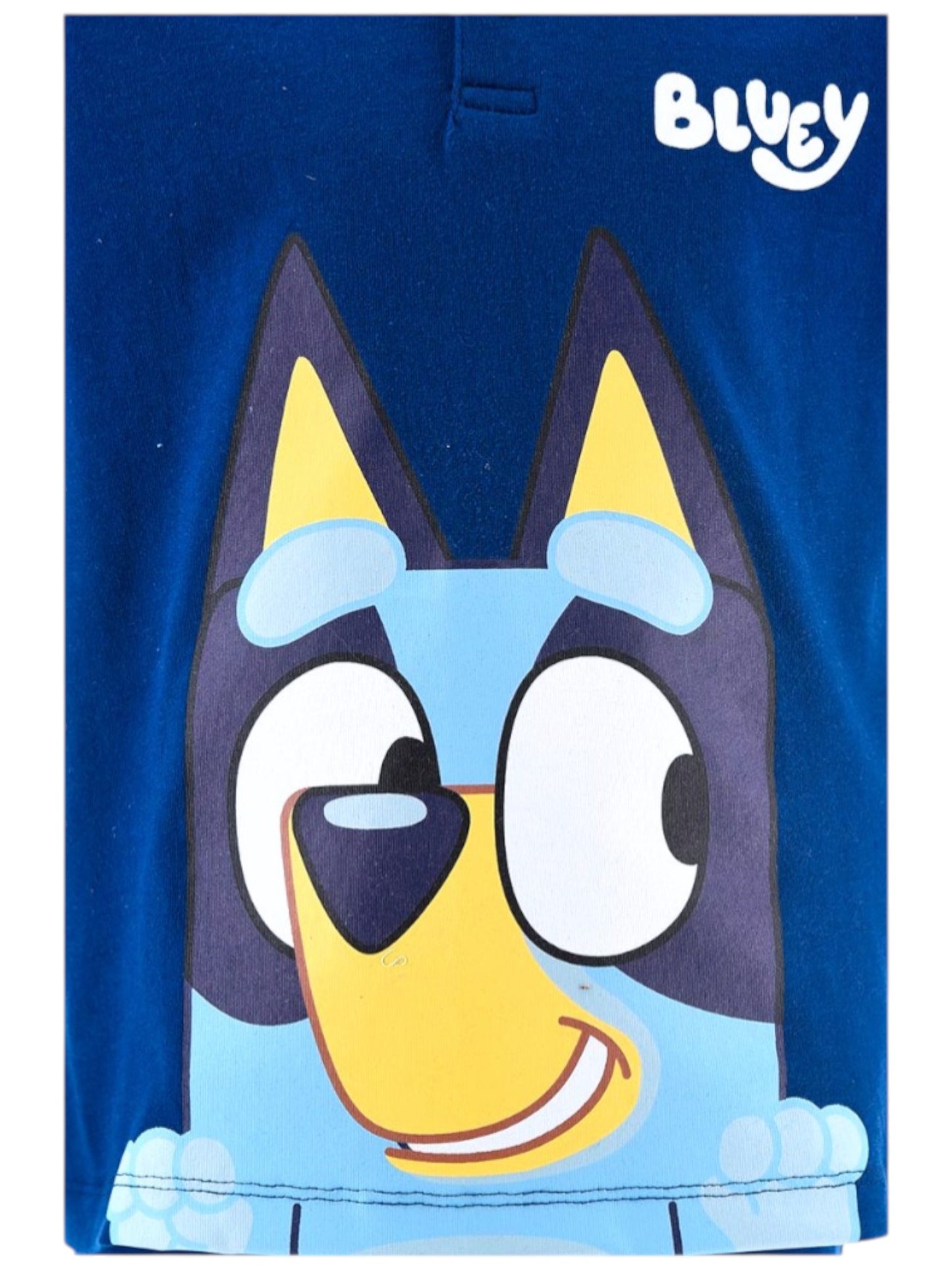 Bluey Schlafanzug kurz