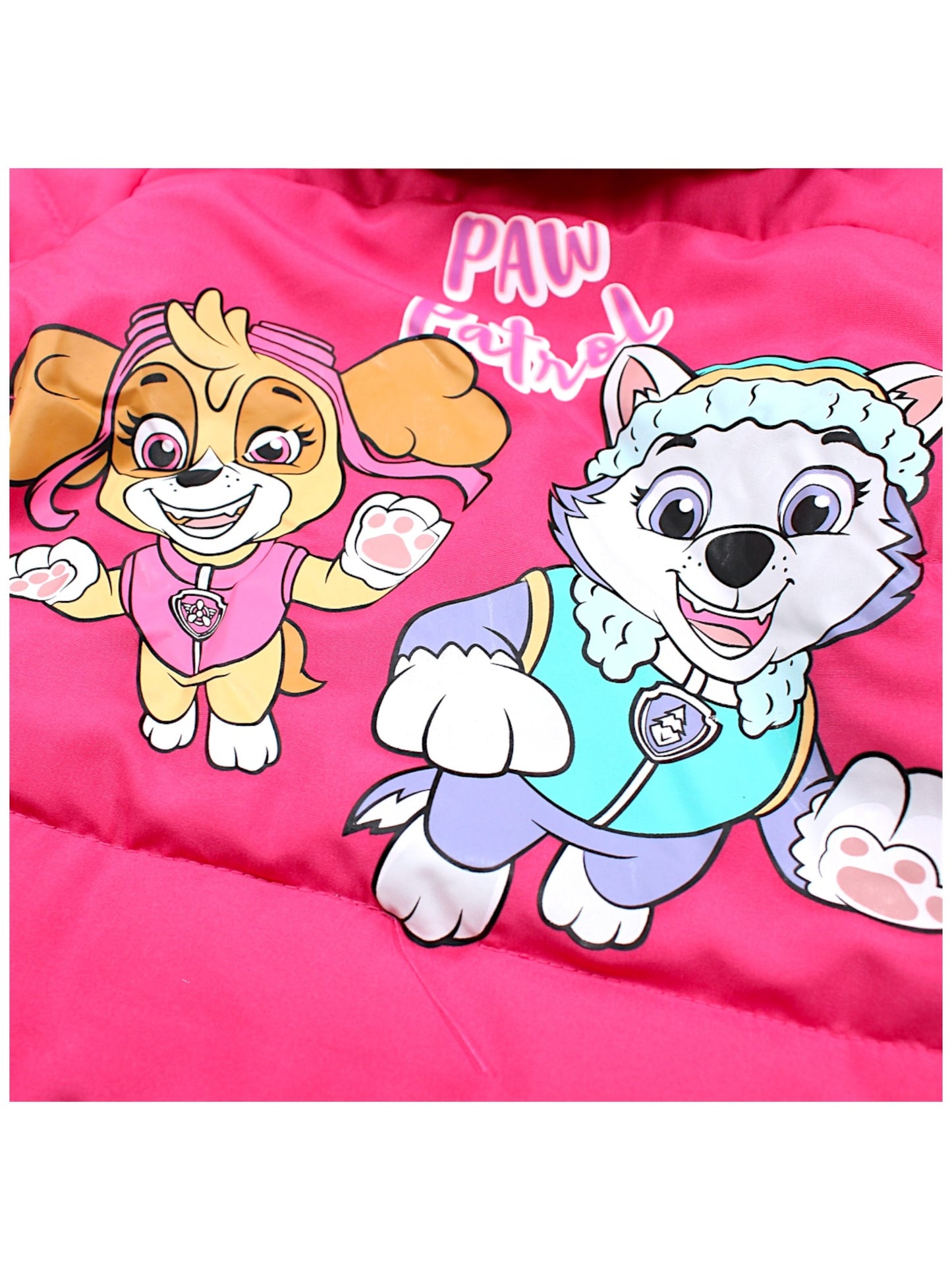 PAW Patrol Skye Jacke